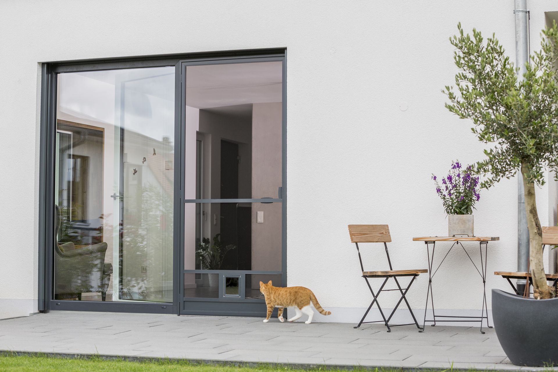 Insektenschutz Drehtür 4